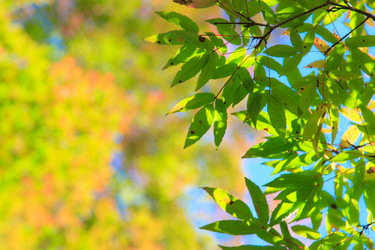 Similar image 461901