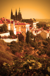 Similar image 461903