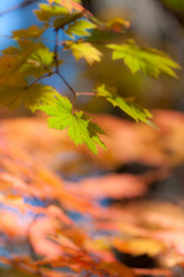 Similar image 461904