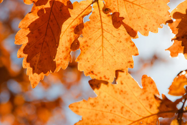 Similar image 461909