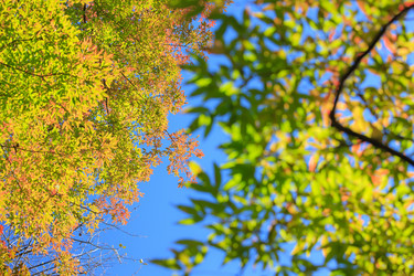 Similar image 461911