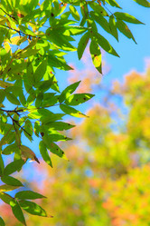 Similar image 461914