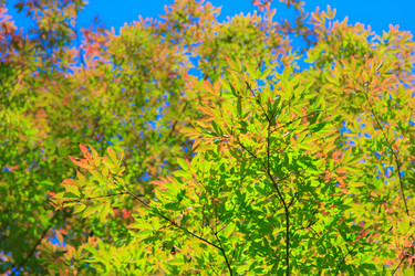 Similar image 461915