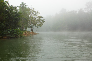 Similar image 461964