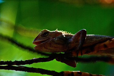 Similar image 461972