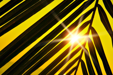 Similar image 461998