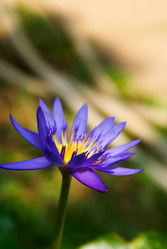 Similar image 461999