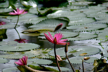 Similar image 462001