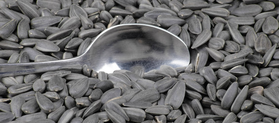 Similar image 462011