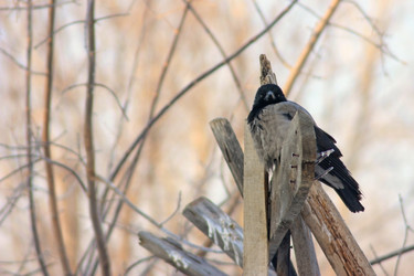 Similar image 462079