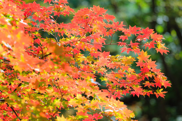 Similar image 462084