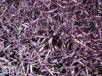 Similar image 462090