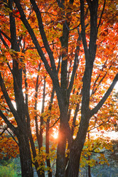 Similar image 462098