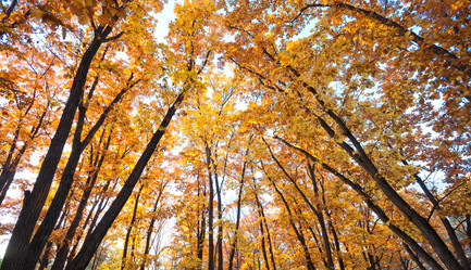 Similar image 462106