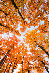 Similar image 462110