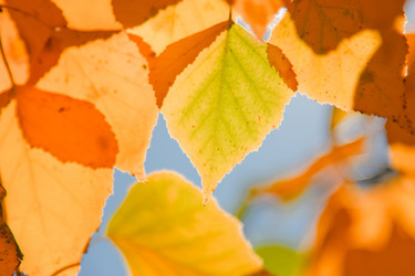 Similar image 462117