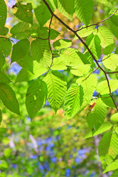 Similar image 462119