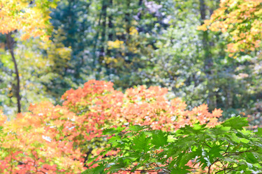 Similar image 462121