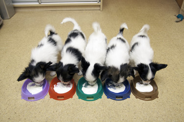 Similar image 462122