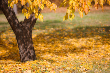 Similar image 462127