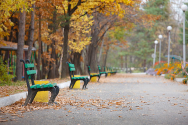 Similar image 462135