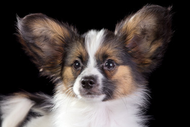 Similar image 462138