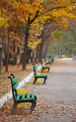 Similar image 462142