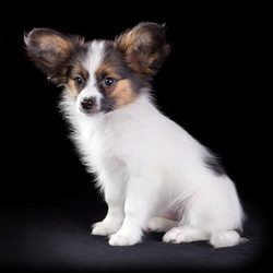 Similar image 462156