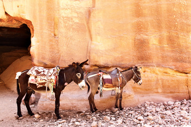 Similar image 462171