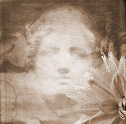 Similar image 462175