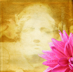 Similar image 462183