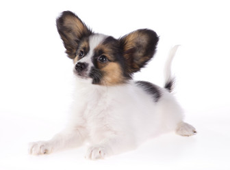 Similar image 462190