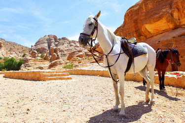 Similar image 462194