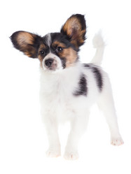 Similar image 462208