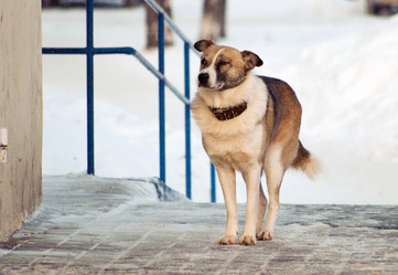 Similar image 462241