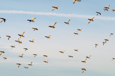 Similar image 462248