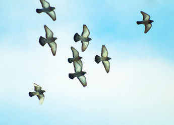 Similar image 462254