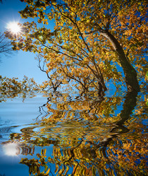 Similar image 462401