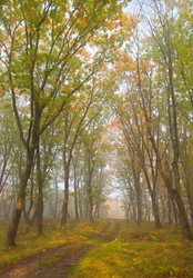 Similar image 462409