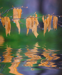 Similar image 462410