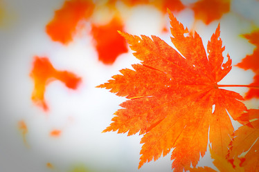 Similar image 462413