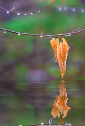 Similar image 462419