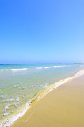 Similar image 462446