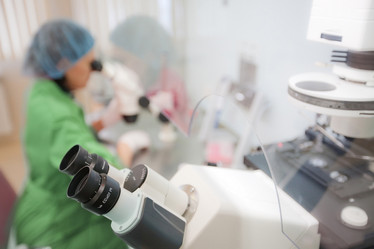 Similar image 462455