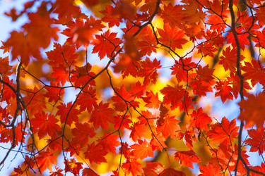 Similar image 462473