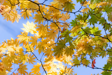 Similar image 462480