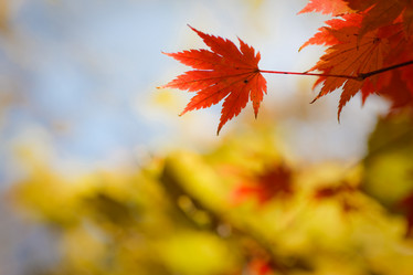 Similar image 462481