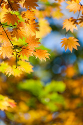 Similar image 462484