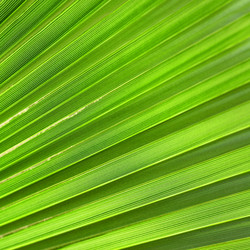 Similar image 462485