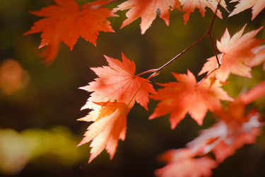 Similar image 462488